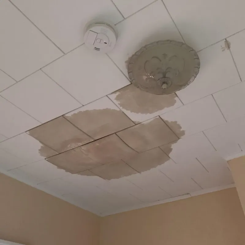 Ceiling Water Damage Repair in Dilworth, MN